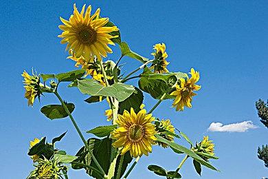 《英雄不再3》发售预告公开 今日登陆Steam平台